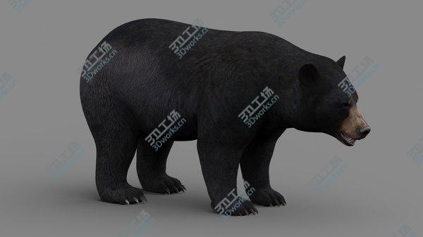 images/goods_img/20210312/Black Bear model/3.jpg